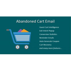 Application of messages for abandoned cart, OpenCart, Galaxynet 